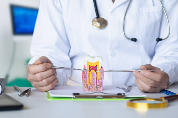 Best Emergency Treatment for Dental Infections or Abscesses in Santa Ynez, CA
